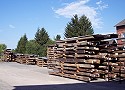 Oak beams as timber for restoration and new construction